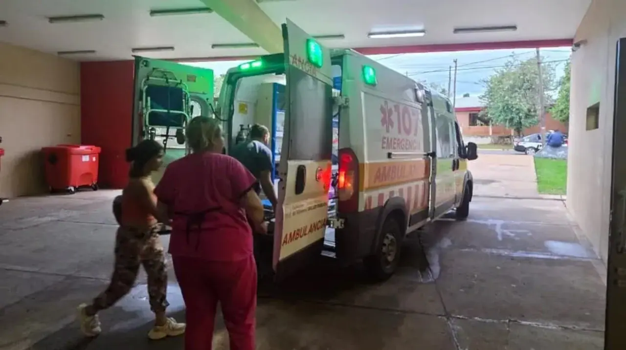 Horror en Misiones: un nene de 7 años fue atacado por siete perros