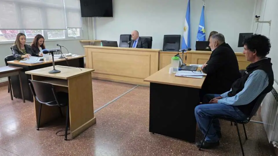 Formalizaron la investigación por presunto maltrato del caballo “René”