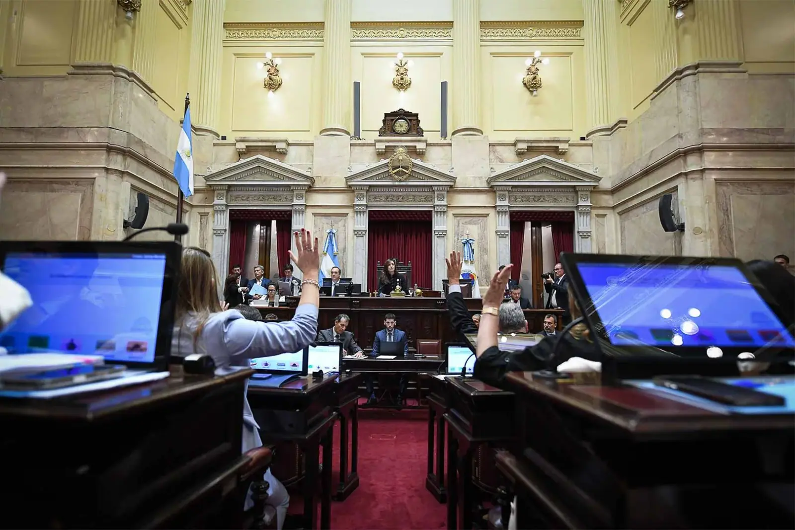 El Senado aprobó en general la reforma de la Ley de Salud Mental