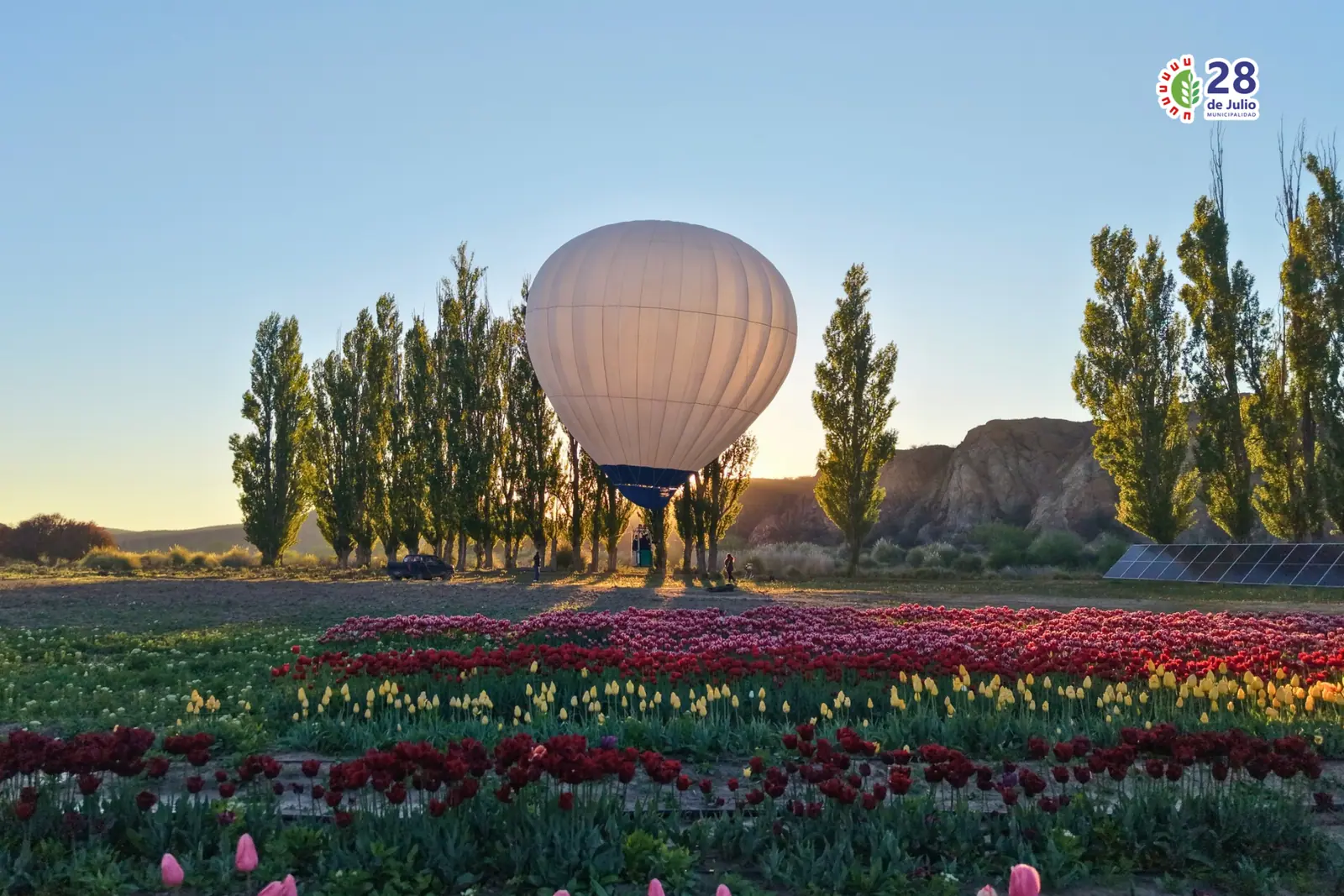 Un globo aerostático sobrevoló por primera vez los Tulipanes de 28 de Julio