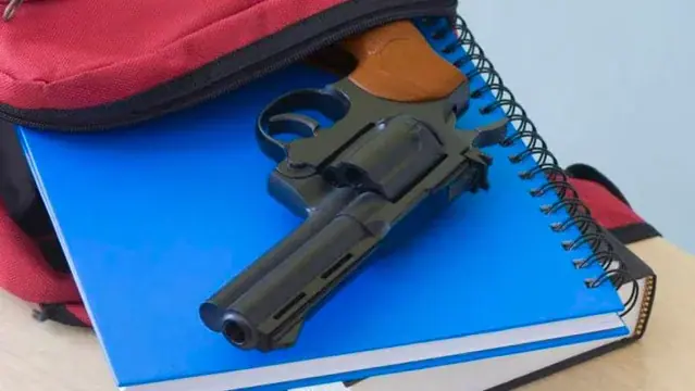 Mendoza: detuvieron a la mamá de un adolescente que llevó un arma al colegio