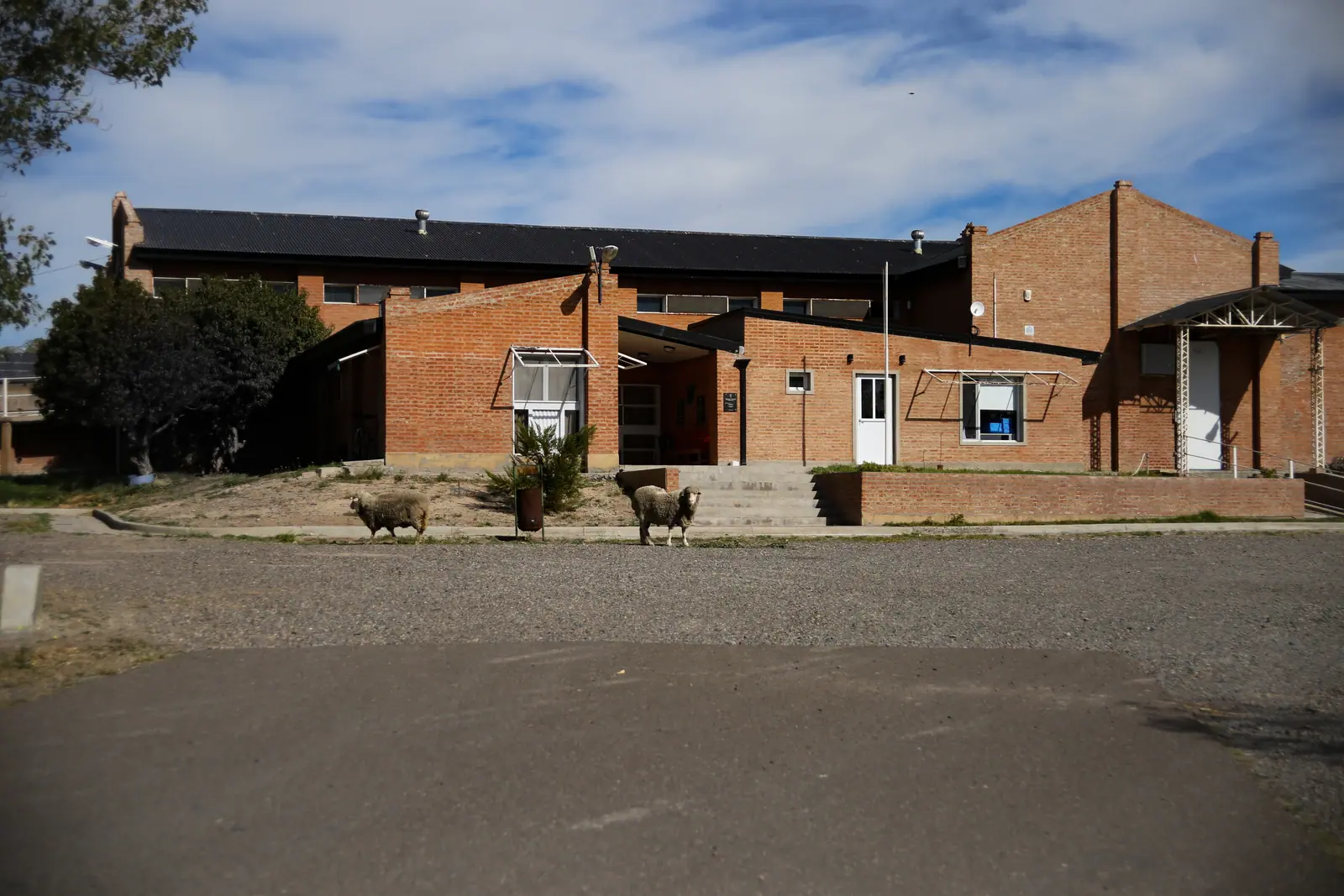 El Matadero de 28 de Julio realizó una faena experimental habilitada